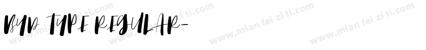 BYD TYPE REGULAR字体转换